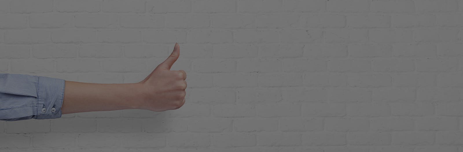 Reviews page header